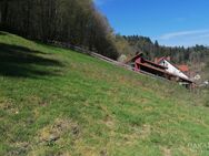 Baugrundstück für den eigenen Traum!! - Heiligkreuzsteinach