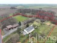 10 ha Anwesen mit großem Haus und Gewerbehalle - Liebschützberg