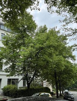 Wohnung mit Einbauküche und Balkon!!! Sehr sonnig, warm und modern!! - Chemnitz