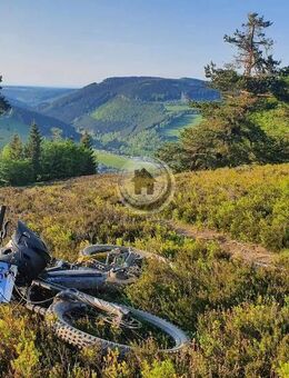 3 volle Tage = BIKEPARK "THE MOTHER" - Winterberg / "MTB ZONE" Willingen - "Green Hill" ... - Ferienappartement für 2 - (IP 1 PP 22) - Medebach (Hansestadt)