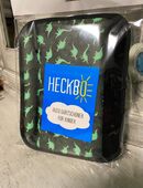 AUTO-GURTSCHONER DINO in 49170