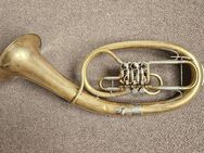 Weltklag Tenorhorn - Köln