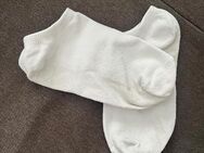 Getragene Socken - Braunschweig