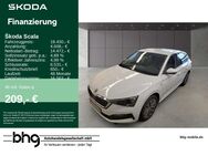 Skoda Scala, 1.0 TSI CLEVER Scala Clever, Jahr 2021 - Freiburg (Breisgau)