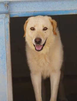 Essenza im Canile auf Sizilien - Bad Vilbel