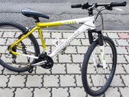 Mountainbike Conway 26 Zoll - Schlitz