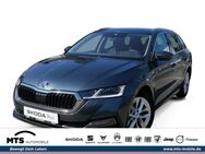 Skoda Octavia, 2.0 TDI Combi Style CANTON, Jahr 2021 - Oberursel (Taunus)