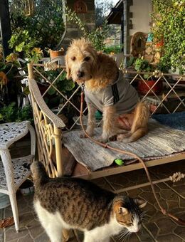 Anni - Recklinghausen