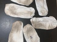 Extrem verschwitze und stinkende Socken von Krankenschwester - Paderborn