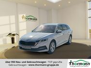 Skoda Octavia, 1.5 TSI Combi Style e-TEC, Jahr 2023 - Stendal (Hansestadt)