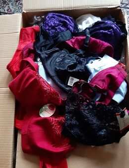 Dessous ungetragen Konvolut - Kiel