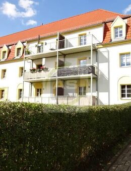 Klein aber WOW - Zwickau