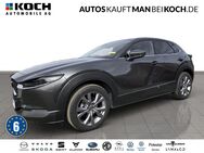 Mazda CX-30, 2.0 M Hy 150 Selection, Jahr 2023 - Berlin