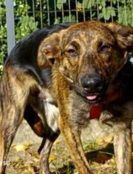 JASON 🩵 bereit für sein Happy End - Fahrenzhausen