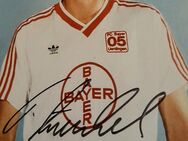 12 Autogrammkarten von ehm Spieler vom.1FC Kaiserslautern zu verkaufen - Mönchengladbach