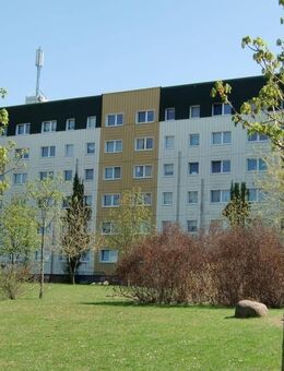 Großer Balkon zum Wohlfühlen - Prenzlau