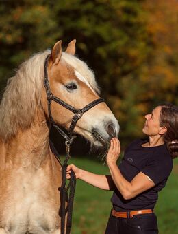 Tierkommunikation - Hürth