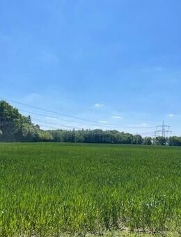 Sonntag 07.09. Punktbesichtigung um 15 Uhr - Natur vor der Tür und ein wunderschöner Blick über die Felder! - Erlangen