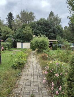 Freizeitgrundstück mit Bungalow - Bad Muskau