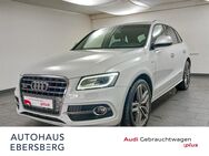 Audi SQ5, quattro MUFU, Jahr 2017 - Ebersberg