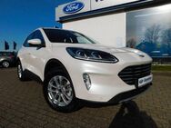 Ford Kuga TITANIUM Plug-in-Hybrid+Head-up+AHK+LED+ - Brake (Unterweser)