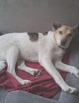 Henriko, Liebhaber von älteren Semestern gesucht - Erding