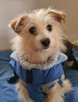 Kuschelige Flora sucht rüstige Rentner💖 - Tornesch