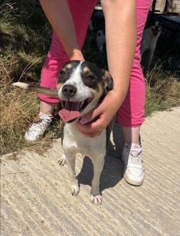 Sehr liebe unkomplizierte ESTHER sucht♥️ - München