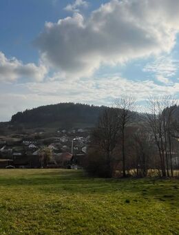 Einfamilienhaus mit Potenzial + großes Grundstück mit Baumöglichkeit(en) in Elisabethszell - Haibach (Regierungsbezirk Niederbayern)