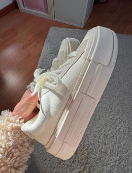 Converse all star women Grösse 38 - Köln Zentrum