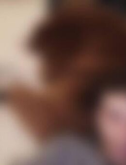 Flg*** - Zweibrücken