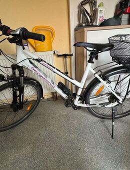 Citybike von Bergamont - Rutesheim