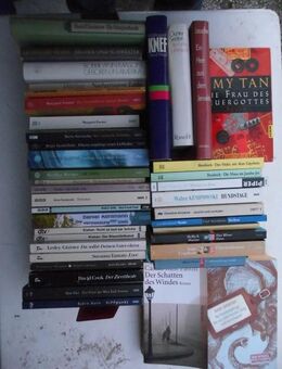 41 Bücher zusammen nur 5,-, zeitgenössische Literatur Ggenwartsliteratur Romane Bestseller Vintage - Flensburg