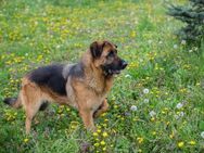 FLORA - zur Familie richtig dazugehören - Overath