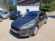 Ford Focus Lim. Trend - Surberg