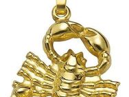 Firetti Sternzeichenanhänger Schmuck Geschenk Gold 333 Halsschmuck Anhänger Halskette Sternzeichen