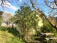 Ungarn/Nova nahe Lenti: renovierungsbedürftiges Kellerstöckl ausbaufähig auf ca. 60m² Grundfläche ca. 2.000m² in 8500