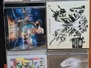 Musik CDs für nur 1€/Stück --->TOP ZUSTAND (Wie NEU) - Hessisch Oldendorf