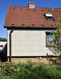 Ellrich: Ihr neues Zuhause mit viel Platz, Garage und großem Garten zum Wohlfühlen - Ellrich