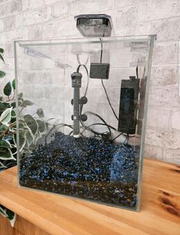 20 liter aquarium - Erftstadt