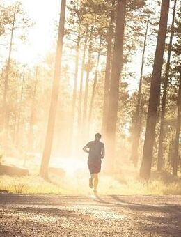 Freizeitpartner für Outdoor (Wandern, Joggen, Schwimmen) - Berlin