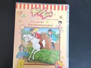 Bibi und Tina 3: Das große Herbstturnier (PC, 2001) CD-ROM - Essen