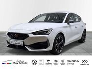 CUPRA Leon, 1.5 TSI, Jahr 2023 - Kronach