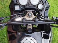 Aprilia Pegaso 650 - Münster