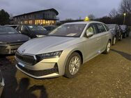 Skoda Octavia, Combi Selection E, Jahr 2024 - Buchholz (Nordheide)