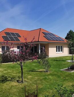 KfW-40 Plus Bungalow ! - Neustadt (Rübenberge)