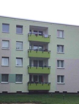 Schöne Wohnung sucht Mieter: praktische 3-Zimmer-Wohnung - Bielefeld