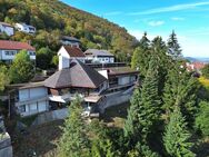 Über den Dächern von Geislingen - Imposante Architektenvilla in exponierter Halbhöhenlage - Geislingen (Steige)