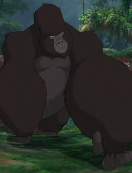 Drill me - Gelnhausen Zentrum