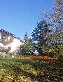 TOP ! Alles neu, exklusive ruhige 2 Zimmerwohnung - Höchenschwand